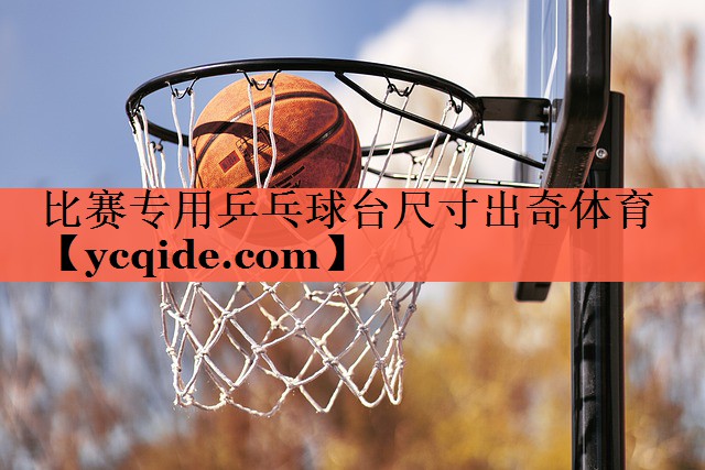 比赛专用乒乓球台尺寸出奇体育