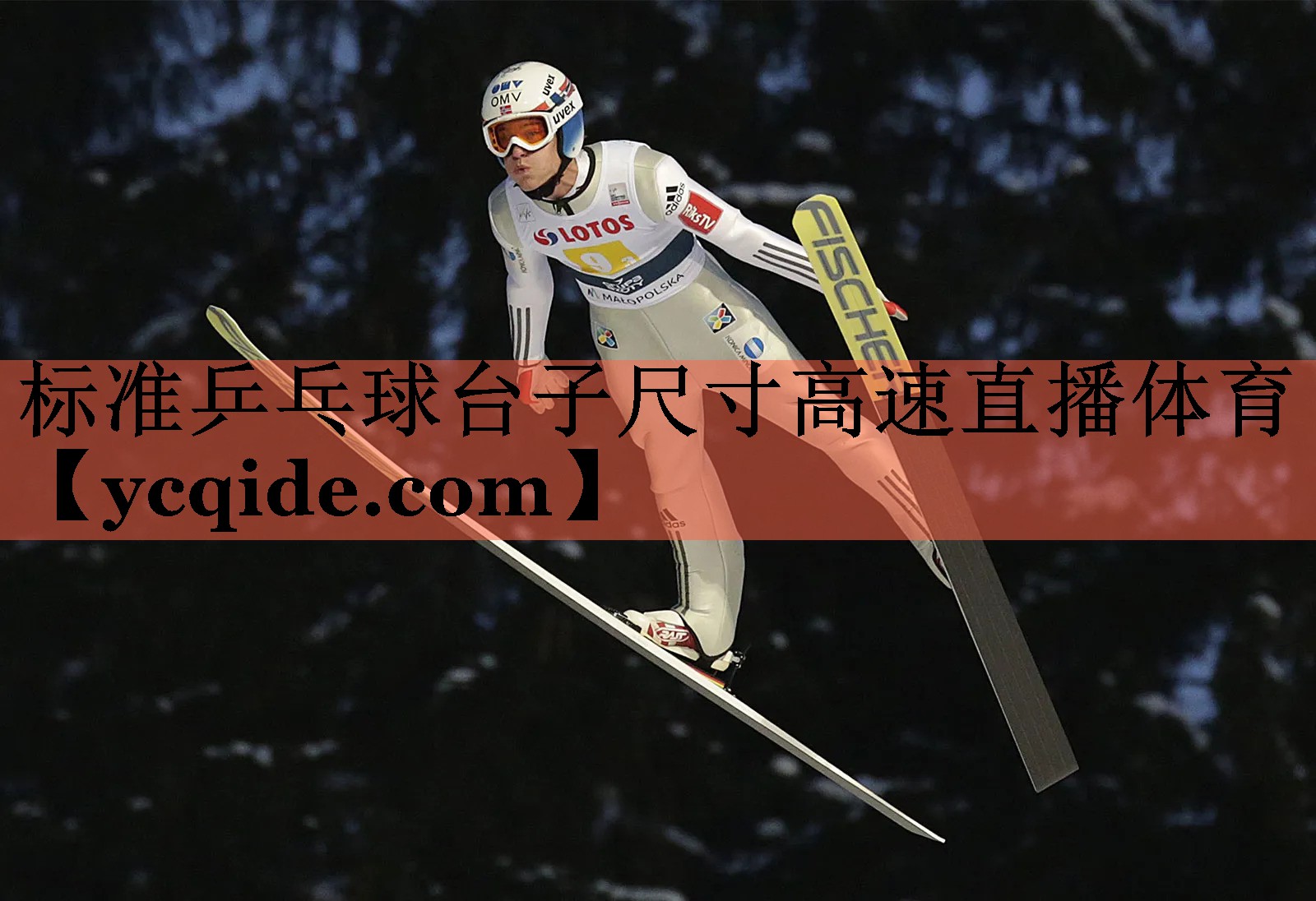 <strong>标准乒乓球台子尺寸高速直播体育</strong>