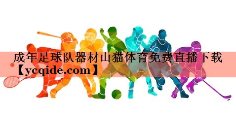 成年足球队器材山猫体育免费直播下载