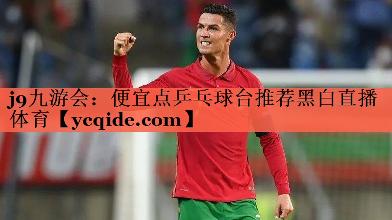 <strong>j9九游会：便宜点乒乓球台推荐黑白直播 体育</strong>