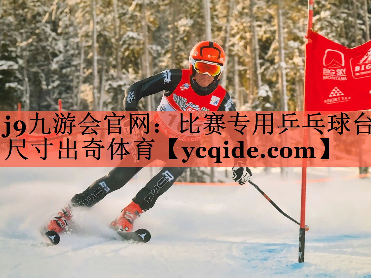 j9九游会官网：比赛专用乒乓球台尺寸出奇体育
