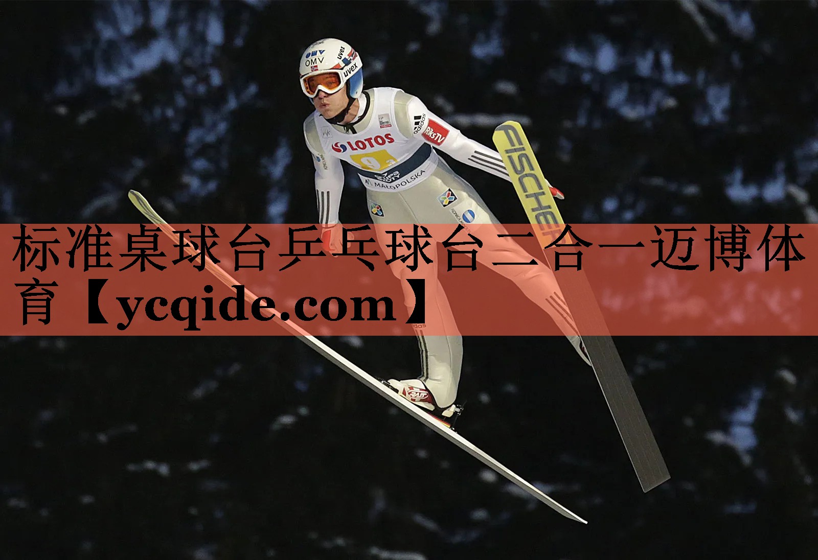 标准桌球台乒乓球台二合一迈博体育