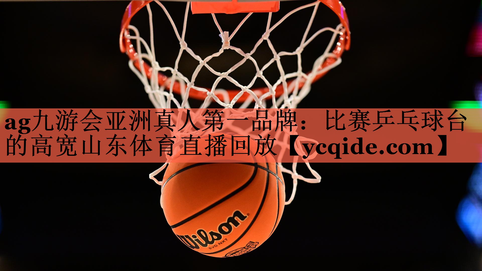<strong>ag九游会亚洲真人第一品牌：比赛乒乓球台的高宽山东体育直播回放</strong>