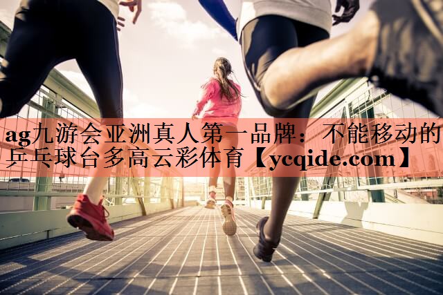 ag九游会亚洲真人第一品牌：不能移动的乒乓球台多高云彩体育