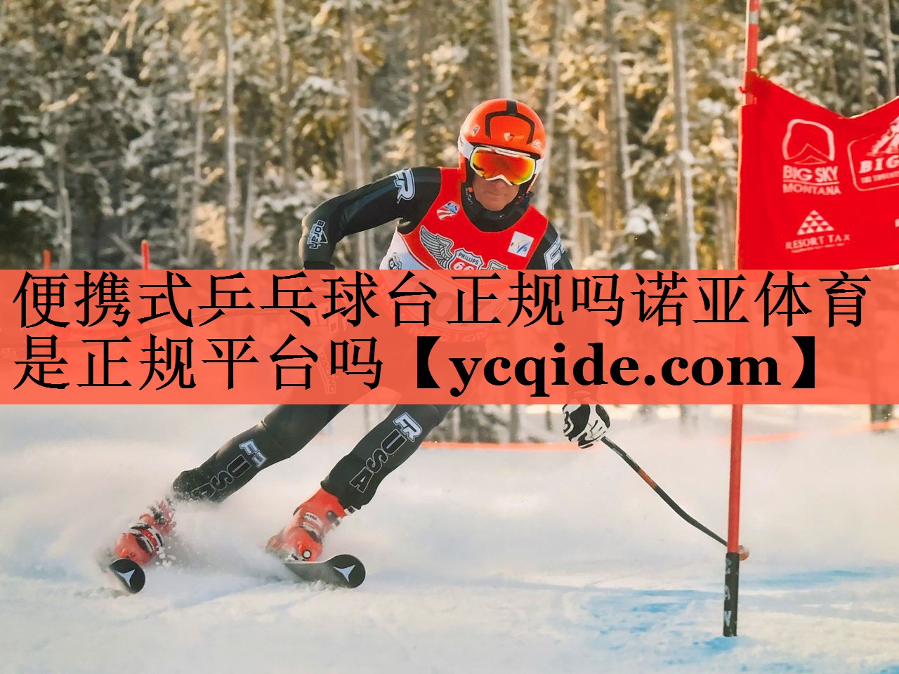 便携式乒乓球台正规吗诺亚体育是正规平台吗