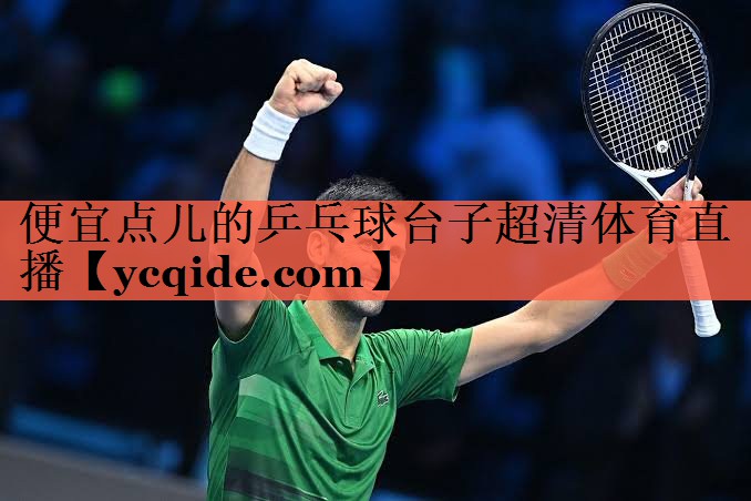 便宜点儿的乒乓球台子超清体育直播