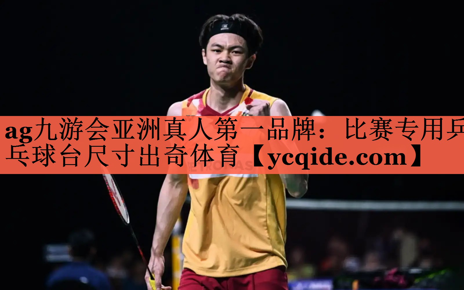 ag九游会亚洲真人第一品牌：比赛专用乒乓球台尺寸出奇体育