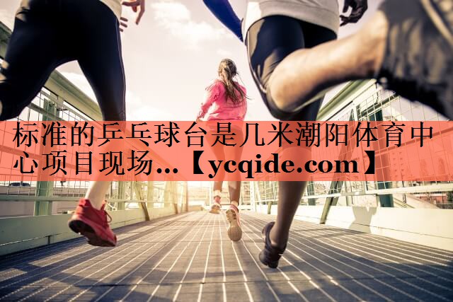 标准的乒乓球台是几米潮阳体育中心项目现场…