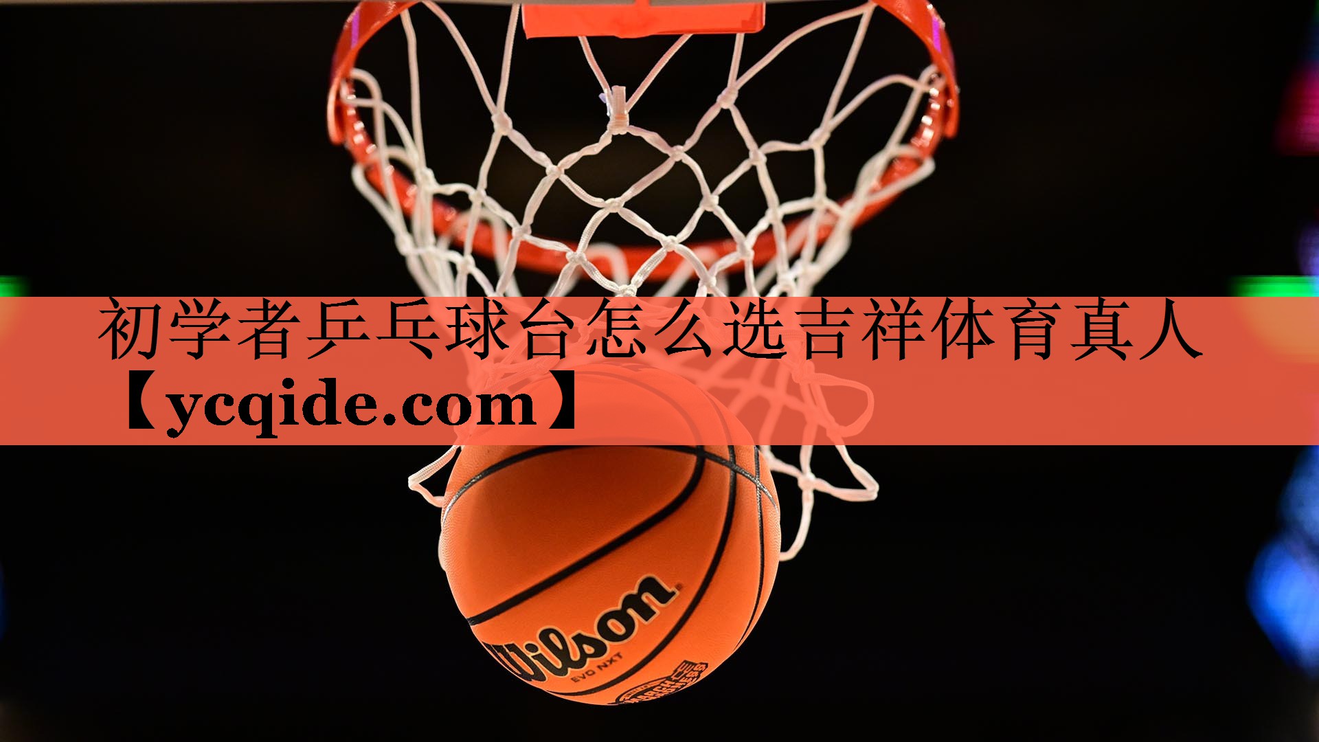 初学者乒乓球台怎么选吉祥体育真人