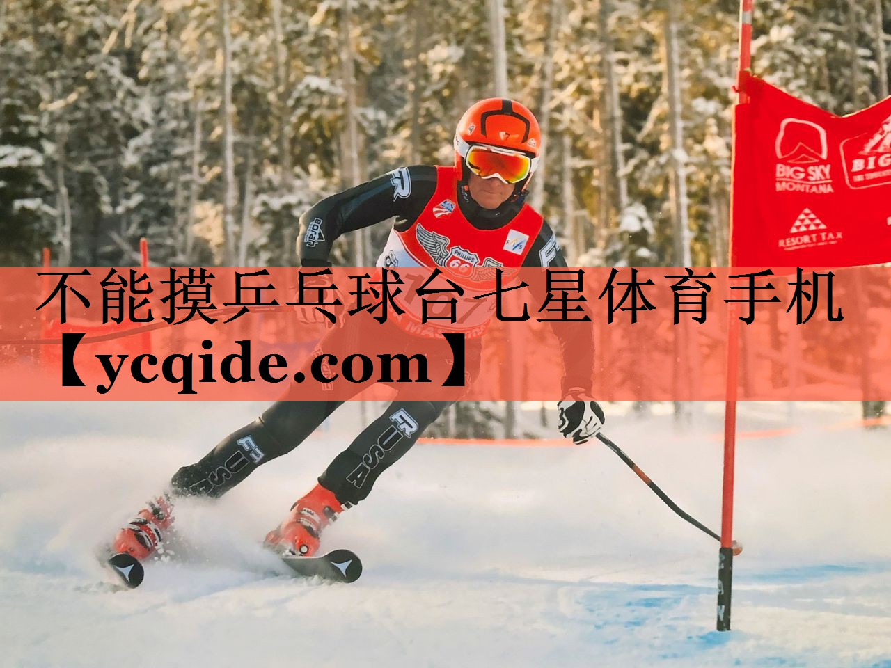 不能摸乒乓球台七星体育手机