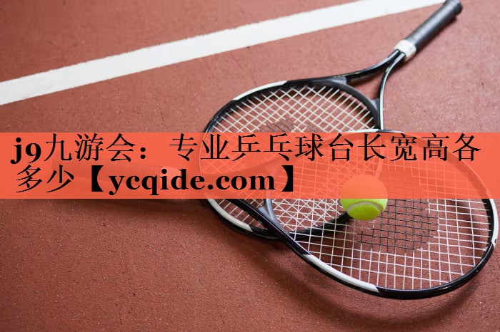 专业乒乓球台长宽高各多少